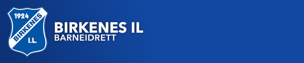 Birkenes IL - Idrettsskole